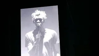 Massive Attack. Park Life 2018. Moscow.(6)