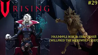 V Rising - Босс: 29/37 Уиллфред Вождь оборотней (Willfred the Werewolf Chief)