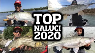 CELE MAI BUNE NALUCI pentru PESCUIT la RAPITORI 2020. TOP naluci/specii.