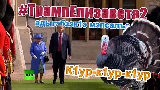 Ауан гушы1э! Трамп и Елизавета в поисках пропажи!