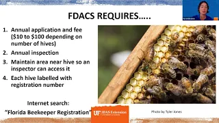 Rules and Regulations of Beekeeping in Florida (webinar)