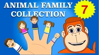 Finger Family Collection - 7 Animal Finger Family Songs - Daddy Finger Nursery Rhymes