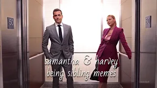 samantha and harvey being sibling memes for 8 minutes straight