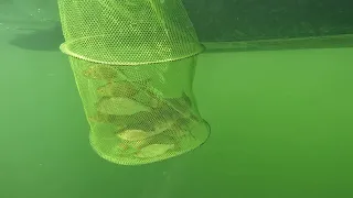Рибалка Яворівське озеро