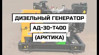 Дизельный генератор АД-30-Т400 (АРКТИКА)