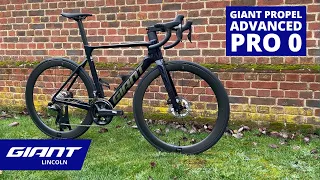 2023 Giant Propel Advanced Pro 0 | Giant Lincoln