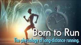 Born to Run 3 | The Physiology of Long Distance Running