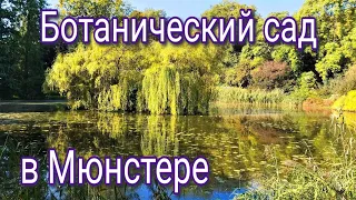 Ботанический сад в Мюнстере. Германия