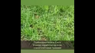 Глубокорыхлитель