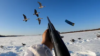 GOOSE HUNTING IN SIBERIA. ALL SERIES