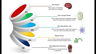 Graphic Design | Cylinder Infographic Design In PowerPoint | PowerPoint Animation