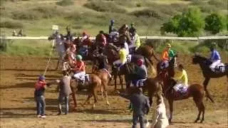 demi final de la course des chevaux barbe arabe