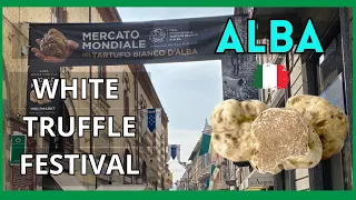 White Truffle Festival | Tartufo Bianco d'Alba, Piemonte, Italy