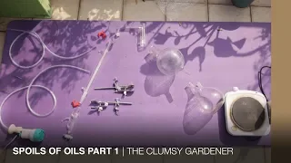 THE CLUMSY GARDENER | Spoils of oils: Part 1
