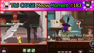 Tom And Jerry Chase | Meow Funny Moment EP#183