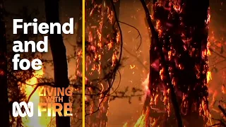 Fire power – Australia’s friend and foe | Living with Fire #1 | ABC Australia