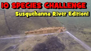 TEN SPECIES CHALLENGE!!! (Susquehanna Edition)