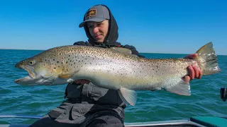 VERTICAL JIGGING for GIANT Milwaukee Harbor Brown Trout!