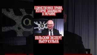 Единственное право, которое защищено в Украине  Польский Эксперт Пьотр Кульпа