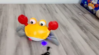 Amazon Must Haves Toys For Toddlers Singing & Crawling Crab Review