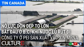 🔴TIN CANADA 19/11 | B.C. sau lũ, Sàigon đóng khẩn cấp các tụ điểm vui chơi sau 2 ngày cho phép mở