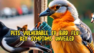 Pets Vulnerable to Bird Flu: Key Symptoms Unveiled