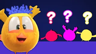 Where's Chicky? Funny Chicky 2022 | MY NAME IS CHICKY | Cartoon in English for Kids | New episodes