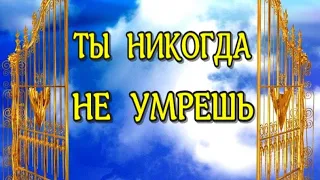 ЖИЗНЬ ПОСЛЕ СМЕРТИ / Ты никогда не умрешь /Беседа с БОГОМ/Уолш Нил (nde 2022) //ЛУНА - ДУША