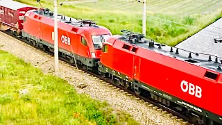 Trainspotting from a bridge. #oebb #trainspotting #train #railway #1116