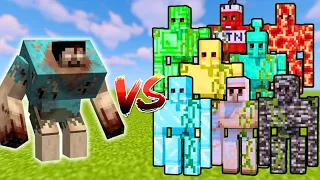 MUTANT HEROBRINE ZOMBIE vs ALL GOLEMS | Minecraft Mob Battle