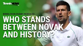 Who Stands Between Novak and History?