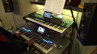 When a child is born - cover by DannyKey on Yamaha keyboard Tyros 5