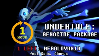 Undertale Genocide Package - Megalovania One Hour ft. Steel