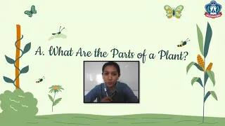 Science P3 - Unit 4 A : What Are The Parts of A Plant?