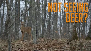 Three Reasons Why You're Not Seeing Deer