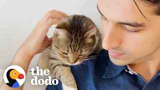 Guy Who Only Liked Dogs Cat-sits For The First Time | The Dodo Cat Crazy