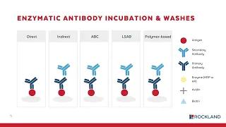 Immunohistochemistry (IHC) workflow [WEBINAR]