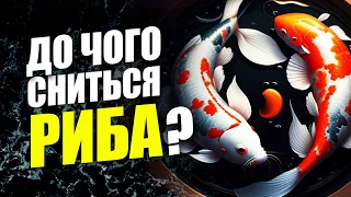 До чого сниться РИБА? 🐟 Значення СНОВИДІННЯ для жінок та чоловіків 📖 СОННИК