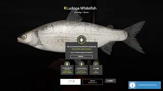 Russian Fishing 4 - Trophy Ladoga White Fish With Tele 4m+ Depth