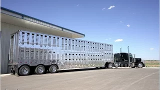 Polishing a HUGE aluminum Cattle trailer! THE BEST SHINE EVER!