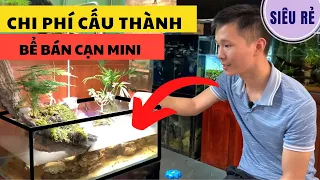 Chi phí cấu thành bể thủy sinh bán cạn mini | Nguyễn Du aqua