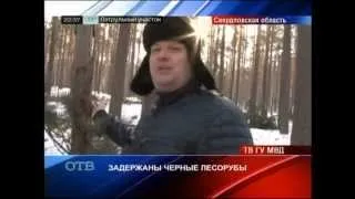 Свердловские полицейские задержали черных лесорубов