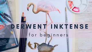 Flamingo with Derwent Inktense   #inktense #inktensepencils