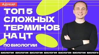 ТОП 5 сложных терминов на ЦТ по биологии