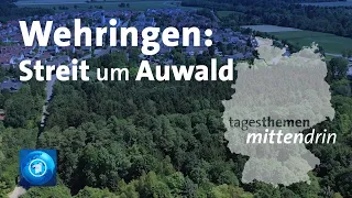 Wehringen: Streit um Auwald | tagesthemen mittendrin