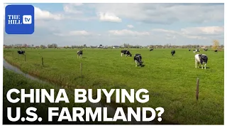 How US Farmland Became A Battleground In The Fight Against China