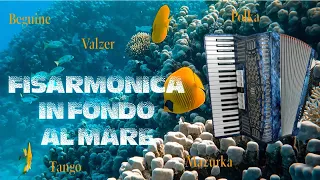 Accordion at the bottom of the sea - Dance with us waltz, mazurca, polca, tango, beguine, fox