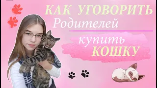 КАК УГОВОРИТЬ РОДИТЕЛЕЙ ЗАВЕСТИ КОТЕНКА??Плюсы кошки||Как НЕЛЬЗЯ просить питомца у родителей?