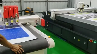 Product:Two IECHO BK3 machine working together at customer side