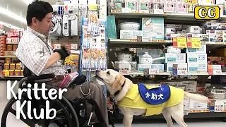 Assistant Dog Cynthia Teaches Man To Appreciate Life | Kritter Klub